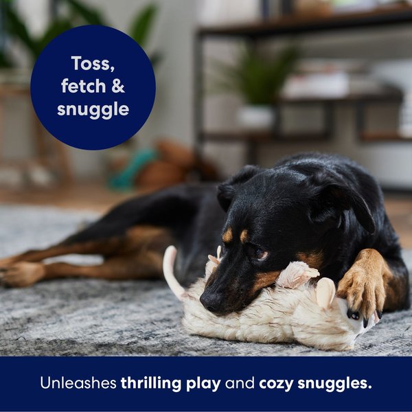 Show full view: Frisco Realistic Opossum Plush Squeaky Dog Toy, Small/Medium slide 5 of 8