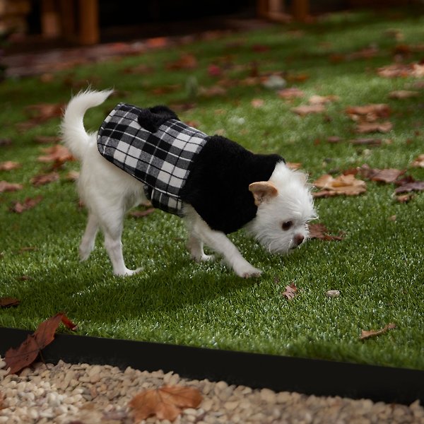 Show full view: Frisco Mediumweight Plaid Faux Fur Dog & Cat Jacket, Gray, Large slide 5 of 8