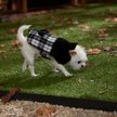 Show in main carousel: Frisco Mediumweight Plaid Faux Fur Dog & Cat Jacket, Gray, Large slide 5 of 8
