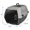Show in main carousel: Frisco Two Door Plastic Dog & Cat Kennel, 22-in, Grey, Small slide 2 of 7
