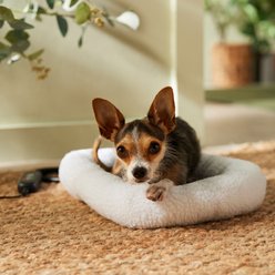 Frisco Adjustable Electrical Dog & Cat Heated Crate Mat with Timer, White, 18"