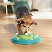 Show in main carousel: Frisco 3-in-1 Interactive Puzzle Dog Toy, Advanced slide 5 of 8