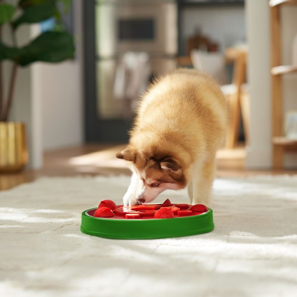 Show full view: Frisco Watermelon Interactive Puzzle Dog Toy, Advanced slide 6 of 9