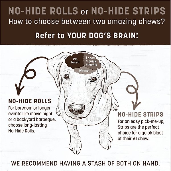 Show full view: Earth Animal No-Hide Strips Thin Natural Rawhide Alternative Peanut Butter Vegetarian Recipe Chew Dog Treats, 4 count slide 3 of 9