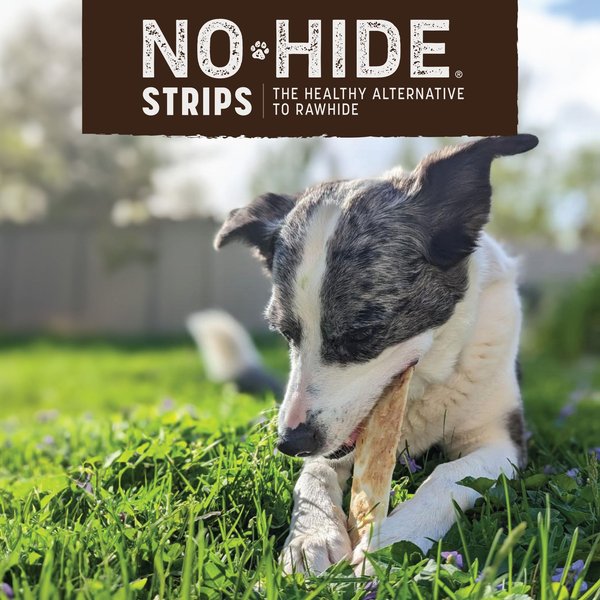 Show full view: Earth Animal No-Hide Strips Natural Rawhide Alternative Barbeque Bacon Cheeseburger Recipe Chew Dog Treats, 4 count slide 5 of 9