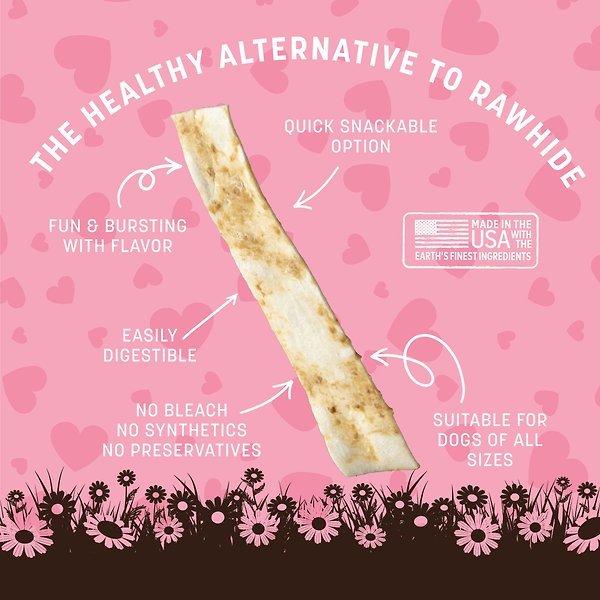 Show full view: Earth Animal No-Hide Strips Thin Natural Strawberries & Cream Seasonal Recipe Chew Dog Treats, 4 count slide 4 of 10
