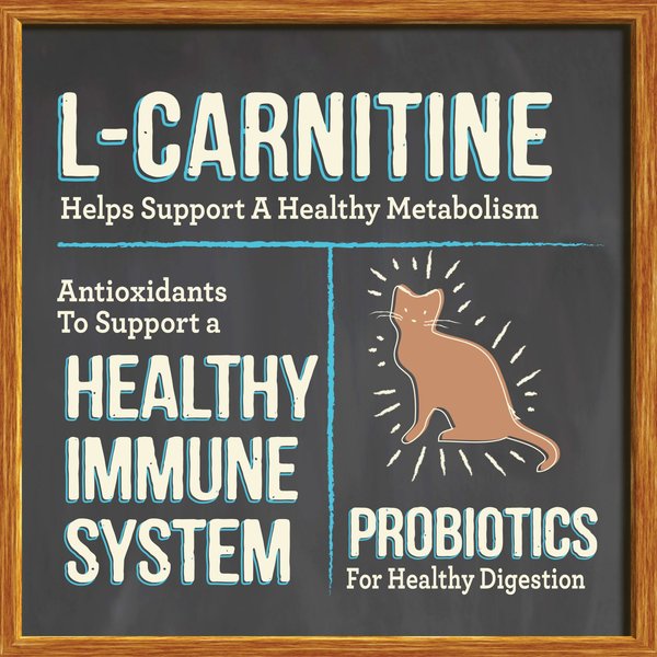 Show full view: Merrick Purrfect Bistro Grain-Free Healthy Weight Recipe Dry Cat Food, 1.81-kg bag slide 5 of 10