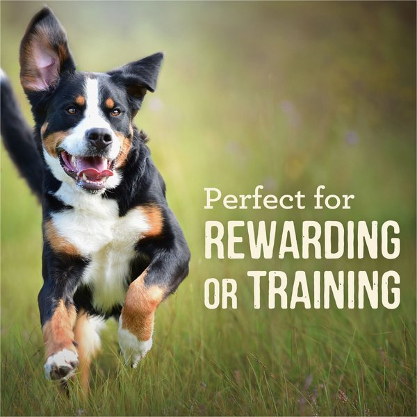 Show full view: Merrick Power Bites Real Salmon Recipe Grain-Free Soft & Chewy Dog Treats, 170-g bag slide 5 of 18