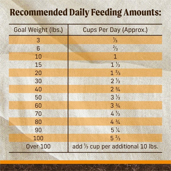 Show full view: Merrick Grain-Free Dry Puppy Food Real Chicken & Sweet Potato Recipe, 9.98-kg bag slide 8 of 11