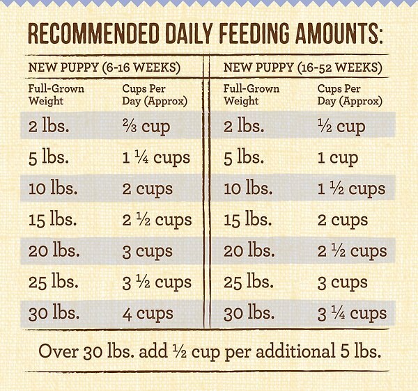 Show full view: Merrick Lil' Plates Grain-Free Real Chicken + Sweet Potato Recipe Small Breed Dry Dog Food, 5.44-kg bag slide 13 of 17