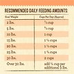 Show in main carousel: Merrick Lil' Plates Grain-Free Chicken-Free Real Salmon + Sweet Potato Recipe Small Breed Dry Dog Food, 5.44-kg bag slide 13 of 17