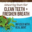Show in main carousel: Merrick Fresh Kisses Double-Brush Mint Breath Strip Infused Medium Dental Dog Treats, 22 count slide 3 of 10