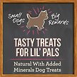 Show in main carousel: Merrick Lil' Plates Lil' Chunky Chicken Recipe Grain-Free Dog Treats, 170-g bag slide 6 of 11