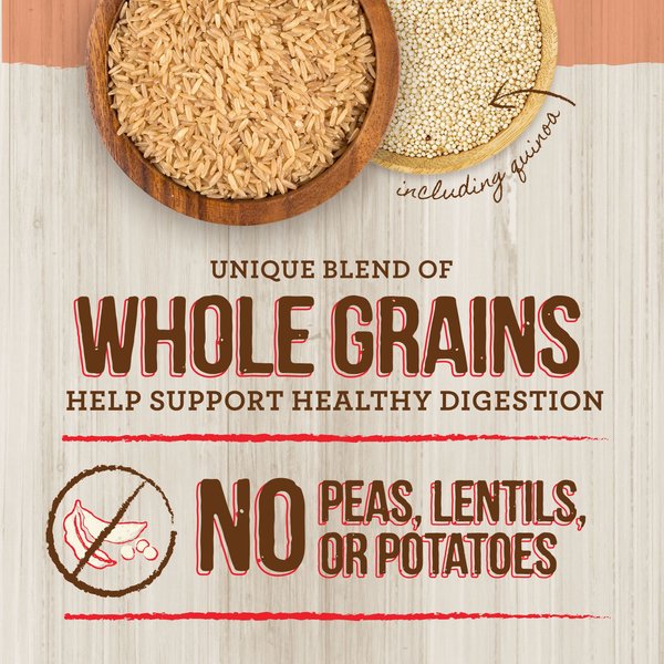 Show full view: Merrick Healthy Grains Real Salmon & Brown Rice Recipe with Ancient Grains Dry Dog Food, 5.44-kg bag slide 7 of 16