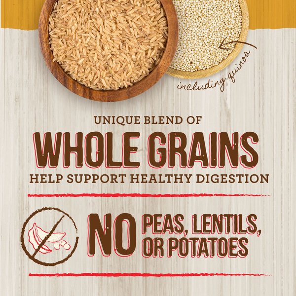 Show full view: Merrick Healthy Grains Raw-Coated Kibble Real Chicken + Brown Rice Recipe Freeze-Dried Dry Dog Food, 4.54-kg bag slide 7 of 17