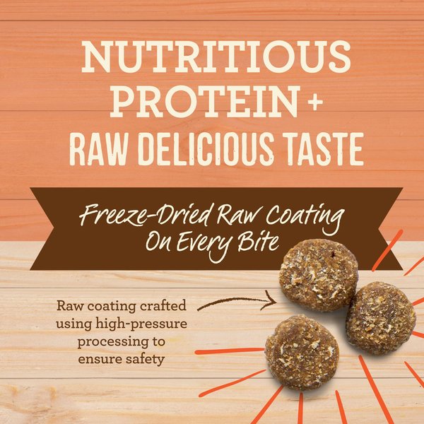 Show full view: Merrick Healthy Grains Raw-Coated Kibble Real Salmon + Brown Rice Recipe Freeze-Dried Dry Dog Food, 4.54-kg bag slide 3 of 16