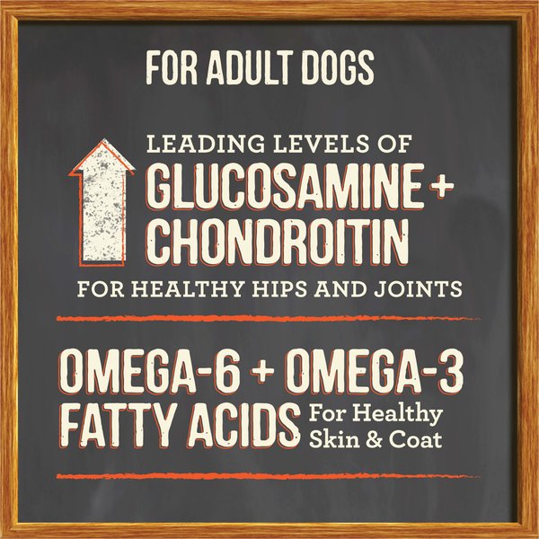 Show full view: Merrick Healthy Grains Raw-Coated Kibble Real Salmon + Brown Rice Recipe Freeze-Dried Dry Dog Food, 4.54-kg bag slide 9 of 16