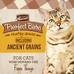 Show in main carousel: Merrick Purrfect Bistro Healthy Grains Real Chicken + Brown Rice Recipe Adult Dry Cat Food, 1.81-kg bag slide 3 of 10