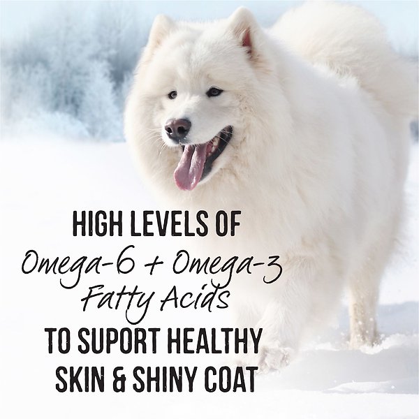 Show full view: Merrick Backcountry Grain-Free Wet Dog Food 96% Real Chicken Recipe, 360-g can, case of 12 slide 5 of 10