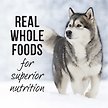 Show in main carousel: Merrick Backcountry Grain-Free Wet Dog Food 96% Real Chicken Recipe, 360-g can, case of 12 slide 6 of 10