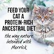 Show in main carousel: Merrick Backcountry Grain-Free Morsels in Gravy Real Chicken Recipe Cuts Cat Food Pouches, 85-g, case of 24 slide 6 of 10