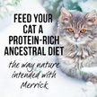 Show in main carousel: Merrick Backcountry Grain-Free Morsels in Gravy Real Rabbit Recipe Cuts Cat Food Pouches, 85-g, case of 24 slide 6 of 10