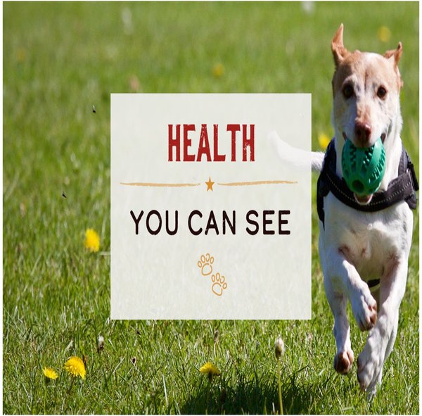 Show full view: Merrick Lil' Plates Grain-Free Small Breed Wet Dog Food Surfin' + Turfin' Supper, 99-g tub, case of 12 slide 7 of 15