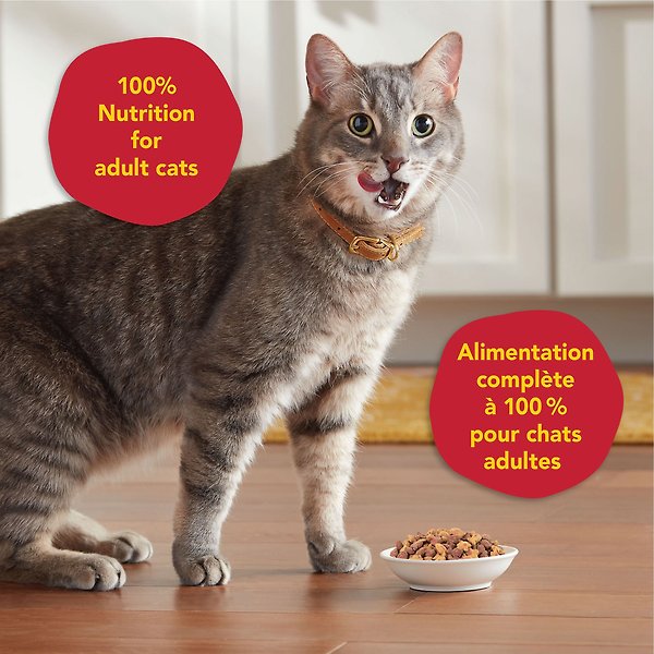 Show full view: Meow Mix Hairball Control Dry Cat Food, 1.42-kg bag slide 4 of 8