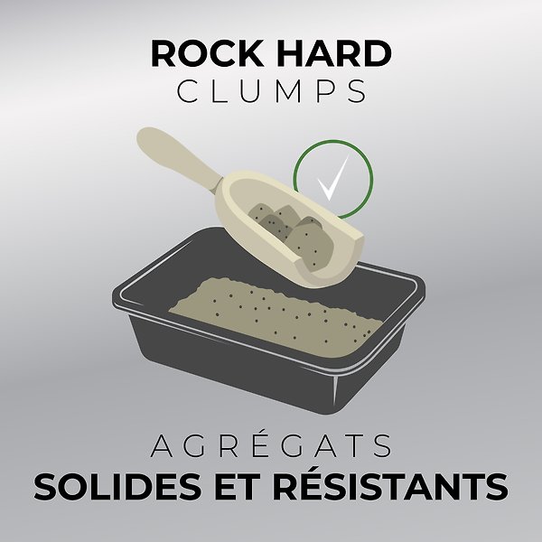 Show full view: Arm & Hammer Litter Clump & Seal Multi-Cat Clumping Cat Litter, 12.7-kg box slide 5 of 10