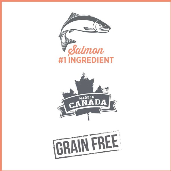 Show full view: Nutrience Care Cat Sensitive Skin & Stomach Wet Cat Food, 156-g can, case of 24 slide 4 of 5