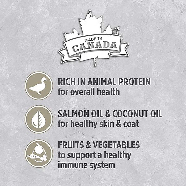 Show full view: Nutrience Infusion Brome Lake Duck Wet Dog Food, 369-g can, case of 12 slide 3 of 5
