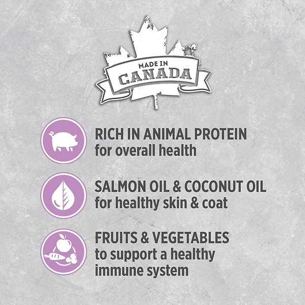 Show full view: Nutrience Infusion Pork Wet Dog Food, 369-g can, case of 12 slide 3 of 5