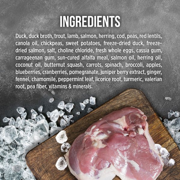 Show full view: Nutrience Grain-Free SubZero Northern Lakes Pate Wet Dog Food, 369g can, case of 12 slide 4 of 7