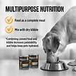Show in main carousel: Nutrience Grain-Free SubZero Fraser Valley Pate Adult Wet Dog Food, 369g can, case of 12 slide 3 of 7