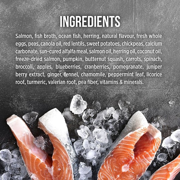 Show full view: Nutrience Grain-Free SubZero Canadian Pacific Pate Adult Wet Dog Food, 369g can, case of 12 slide 4 of 7