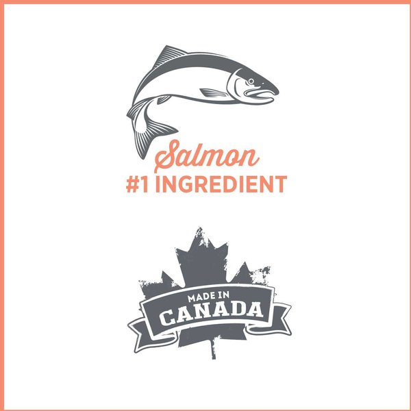 Show full view: Nutrience Care Sensitive Skin & Stomach Wet Dog Food, 369-g can, case of 12 slide 3 of 5