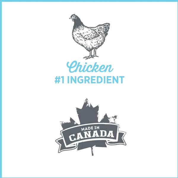 Show full view: Nutrience Care Comfort Wet Dog Food, 369-g can, case of 12 slide 3 of 5