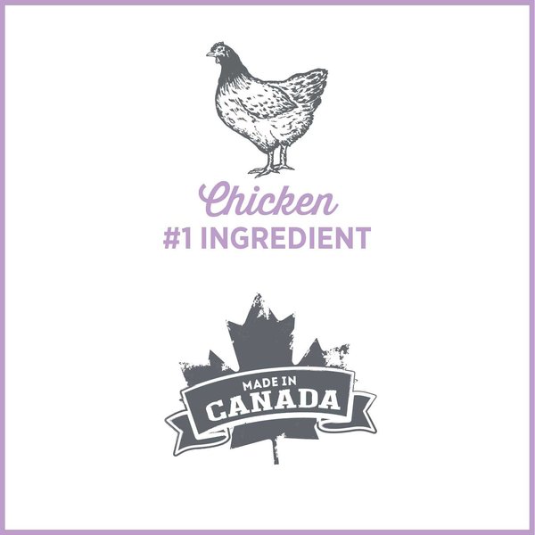 Show full view: Nutrience Care Weight Management Wet Dog Food, 369-g can, case of 12 slide 3 of 5