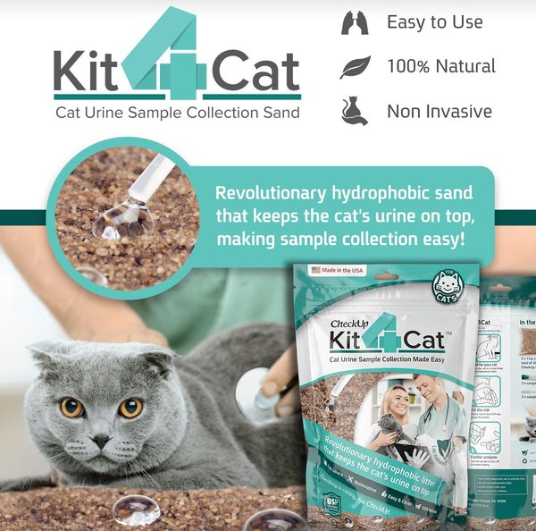 Show full view: Kit4Cat Cat Urine Sample Collection Kit Urine Testing for Cats, 0.91-kg bag slide 6 of 9