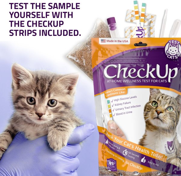 Show full view: CheckUp at Home Wellness Urine Testing for Cats slide 4 of 10