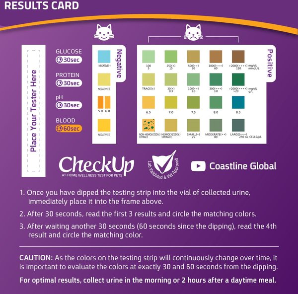 Show full view: CheckUp at Home Wellness Urine Testing for Cats slide 7 of 10
