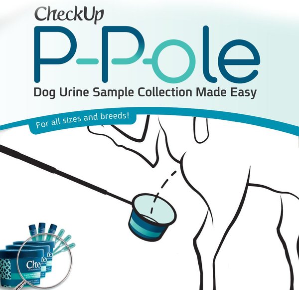 Show full view: CheckUp P-Pole Telescopic Pole, Cups, Pipettes & Vials Dog Urine Collection Pack slide 6 of 8