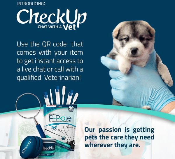 Show full view: CheckUp P-Pole Telescopic Pole, Cups, Pipettes & Vials Dog Urine Collection Pack slide 7 of 8