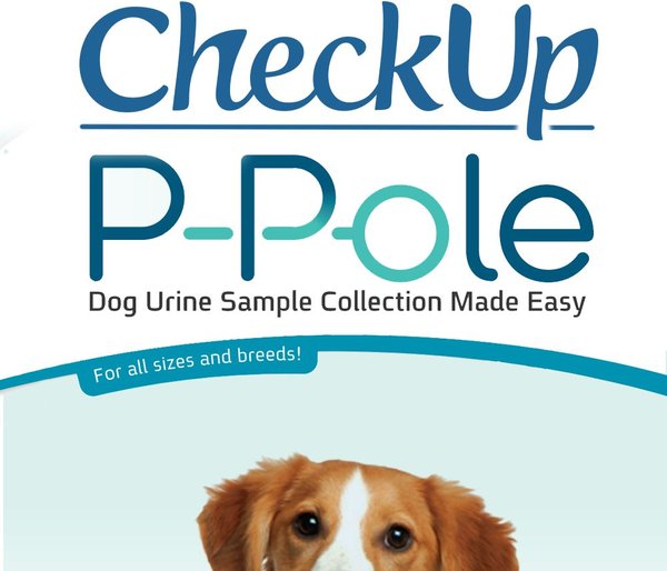 Show full view: CheckUp P-Pole Telescopic Pole, Cups, Pipettes & Vials Dog Urine Collection Pack slide 8 of 8