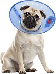 Calm Paws Calming Dog E-Collar, Small