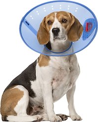 Calm Paws Calming Dog E-Collar, Medium