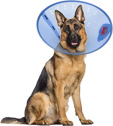 Calm Paws Calming Dog E-Collar, X-Large