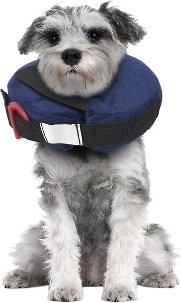 Show full view: Calm Paws Inflatable Protective Dog & Cat Collar, X-Small slide 3 of 6