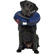 Show in main carousel: Calm Paws Inflatable Protective Dog & Cat Collar, Large slide 3 of 5