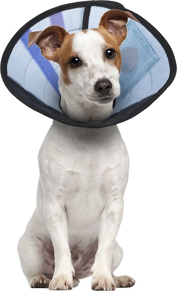 Show full view: Calm Paws Recovery Caring Dog Collar, Small slide 3 of 4